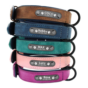 Customized Engraved Dogs Collar
